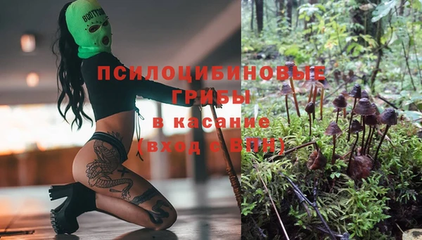 apvp Навашино