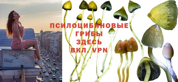 метадон Надым