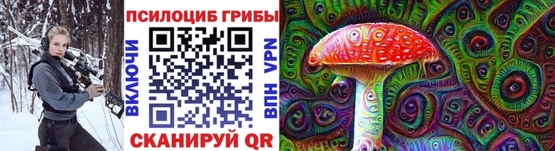 Купить закладки  Снежинск  Галлюциногенные грибы Psilocybine cubensis 
